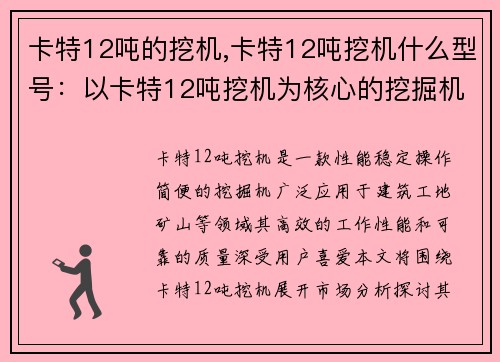 卡特12吨的挖机,卡特12吨挖机什么型号：以卡特12吨挖机为核心的挖掘机市场分析